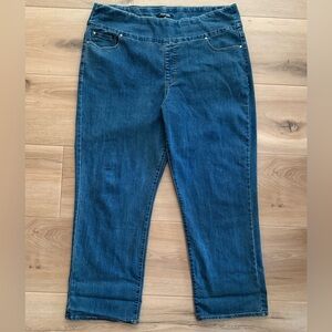 Chadwick’s Cropped Jeans Size 18T